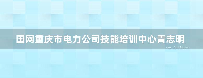 国网重庆市电力公司技能培训中心青志明创新工作室丛书 230MHz负荷控制终端模块化安装技术及工程应用 青志明 著 (2016版)